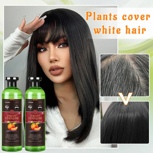 Fruit Vinegar Black Hair Color Gel Kit Each 250ml
